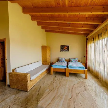 The Paddock Bed & Breakfast